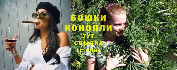 шишки Нягань