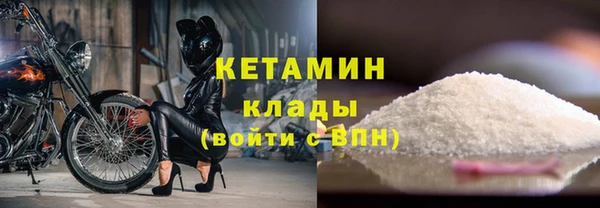 прущая мука Вяземский