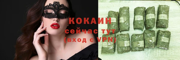 шишки Нягань