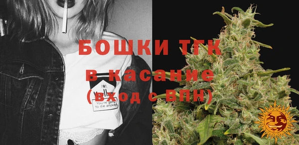 шишки Нягань