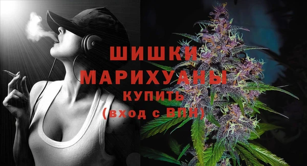 шишки Нягань
