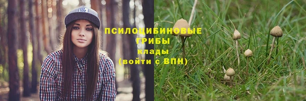 шишки Нягань