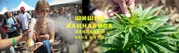 шишки Нягань