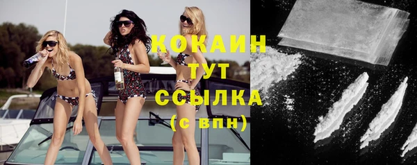 ECSTASY Новозыбков