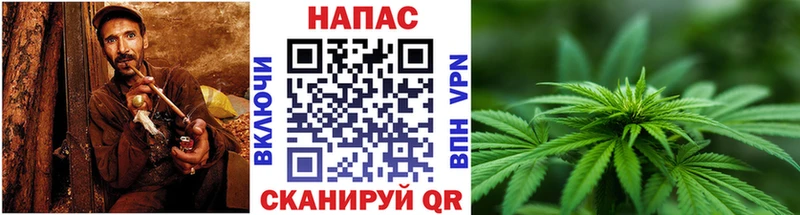 Бошки Шишки семена  OMG как войти  Нягань 